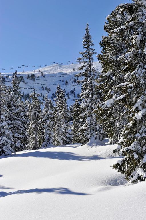 Scol Sporthotel Zillertal Fügen Kültér fotó